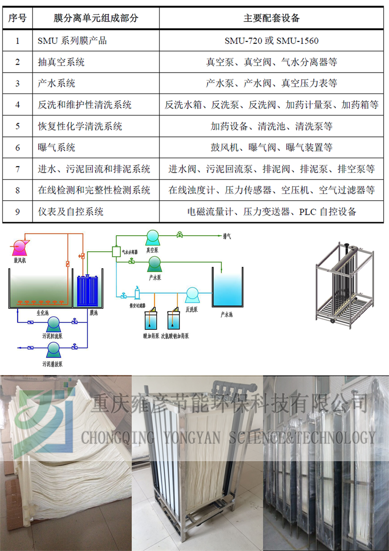 雍彥-7  sy.png